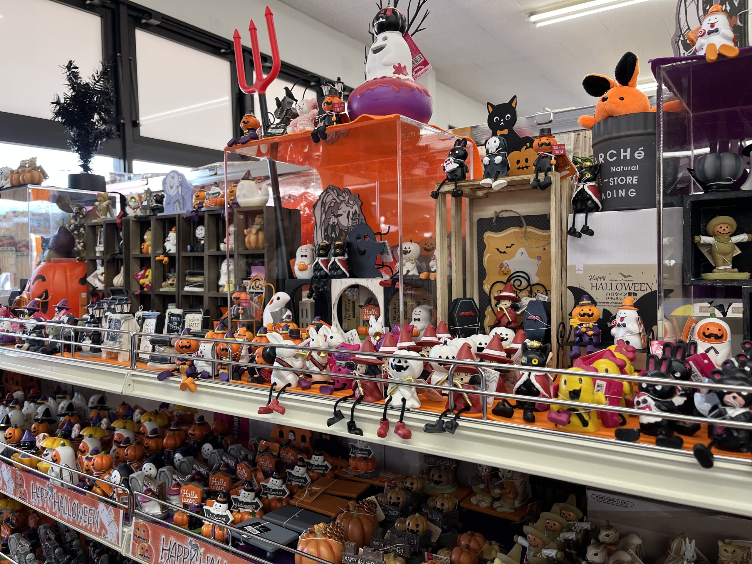 ハロウィン